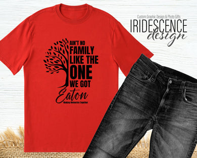 Ain't no Family Like the One We Got Family Reunion Tee Shirts