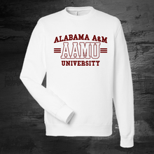 Load image into Gallery viewer, AAMU University T-Shirt or Sweatshirt