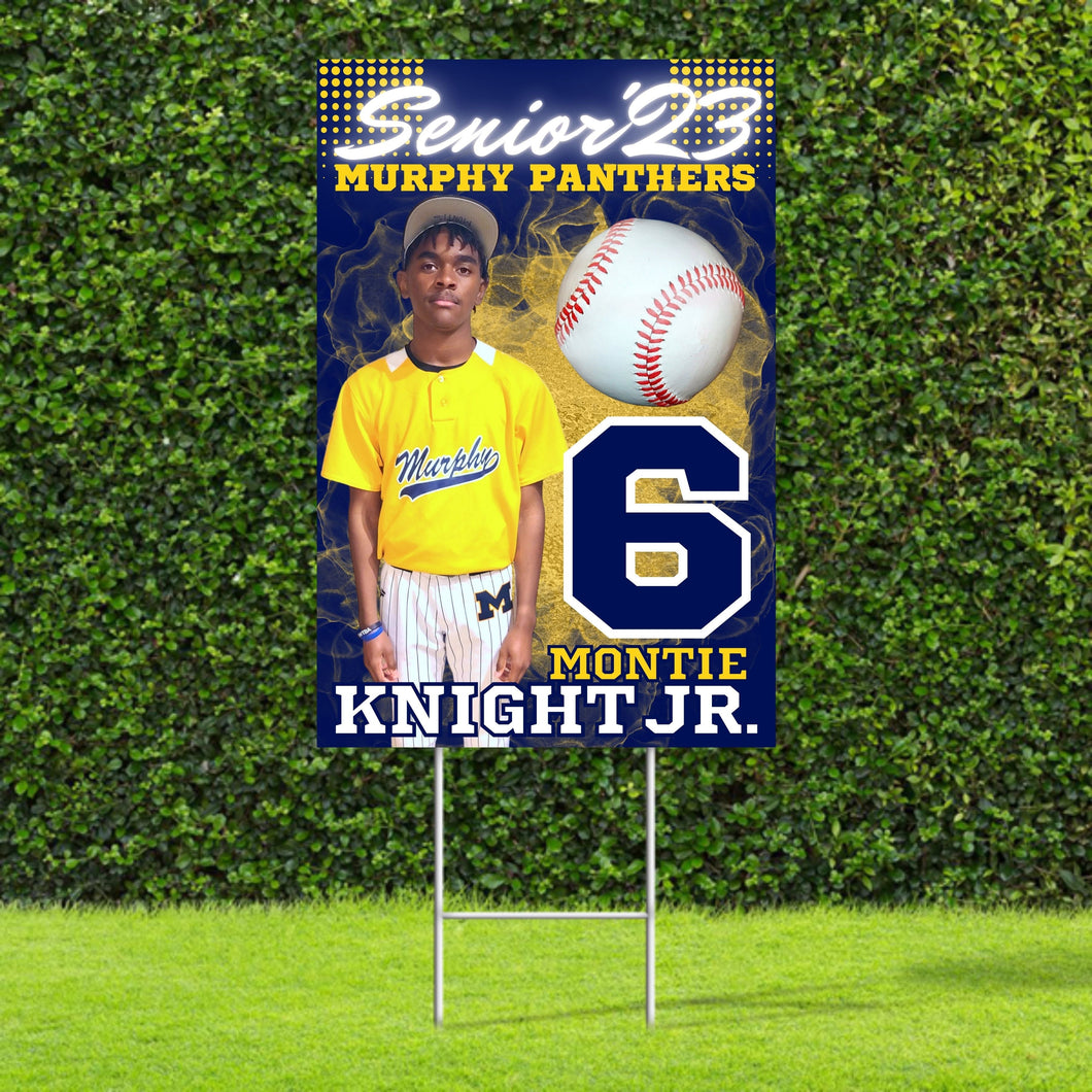 Senior Baseball Yard Signs (2) - 18